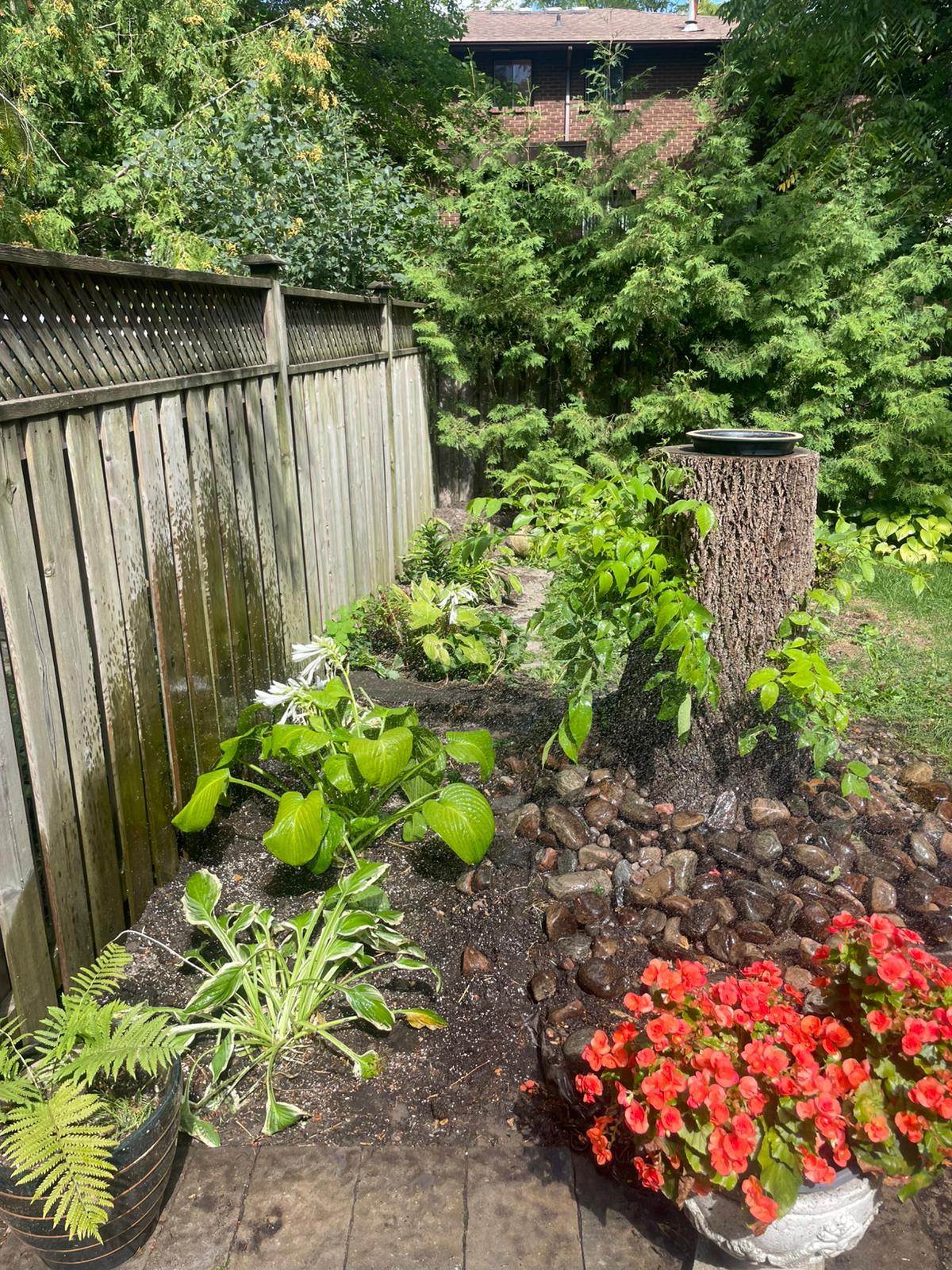Garden maintenance result